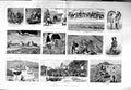 Old Antique Print 1884 New Mexico Colorado Apache Indians Pueblo Moqui 19th