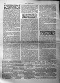 Original Old Antique Print 1884 Ascent Mountain Wellington Tasmania Kangaroo