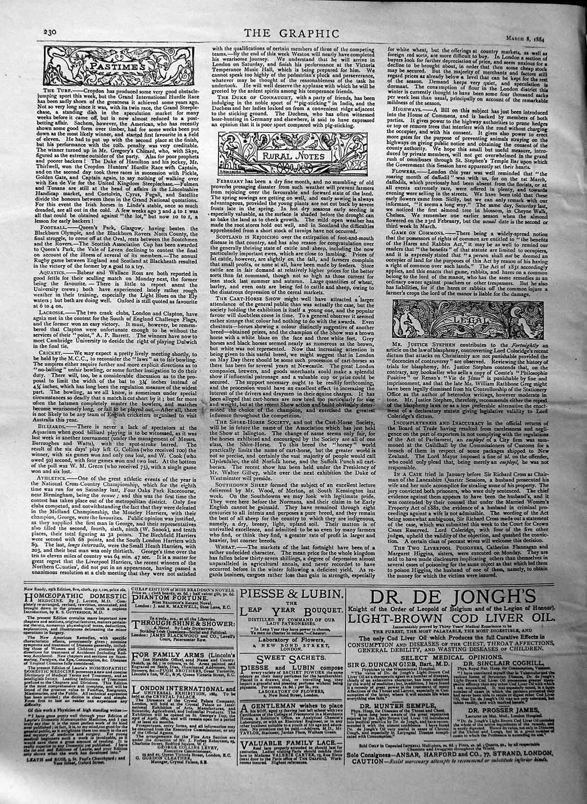 Original Old Antique Print 1884 Ascent Mountain Wellington Tasmania Kangaroo
