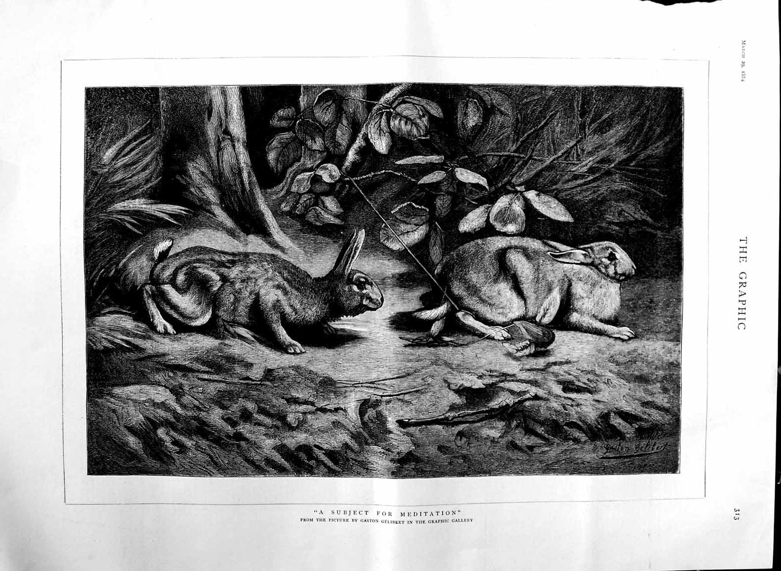 Original Old Antique Print 1884 Gaston Gelibert Fine Art Bunny Rabbits Nature
