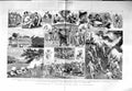 Original Old Antique Print 1884 Sham Fight Kalutara Ceylon Volunteer Siers War