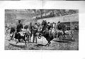 Original Old Antique Print 1884 Horse Show Agricultural Hall Ponies Ring F 19th