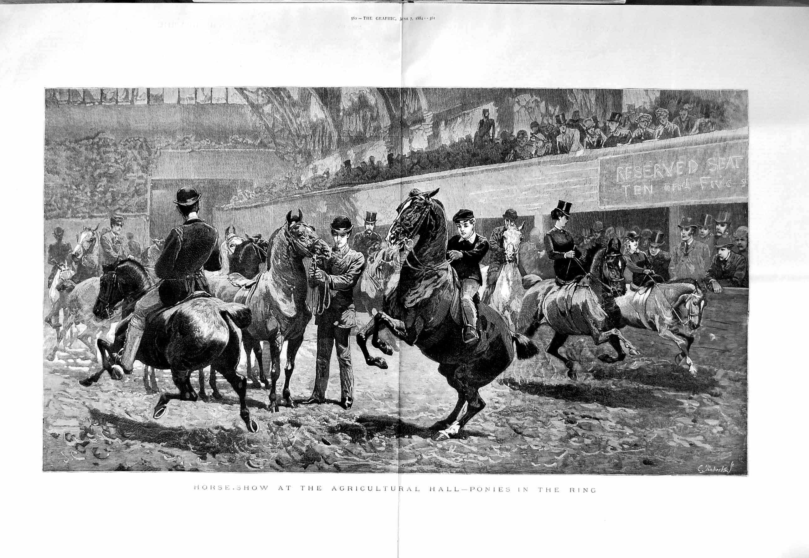 Original Old Antique Print 1884 Horse Show Agricultural Hall Ponies Ring F 19th
