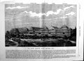 Original Old Antique Print 1884 Exterior Albert Exhibition Palace Batters 19th