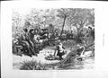 Original Old Antique Print 1884 Public Garden Brewers Company Stepney Swan Lake