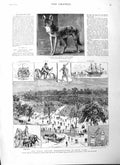 Original Old Antique Print 1884 Prairie Wolf Epping Hyde Park Reform Demons 19th