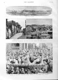 Original Old Antique Print 1884 Piccadilly Ladie'S Orchestra Berbera Africa 19th