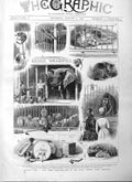 Original Old Antique Print 1884 Animals Sale Royal Windsor Castle Me Victorian
