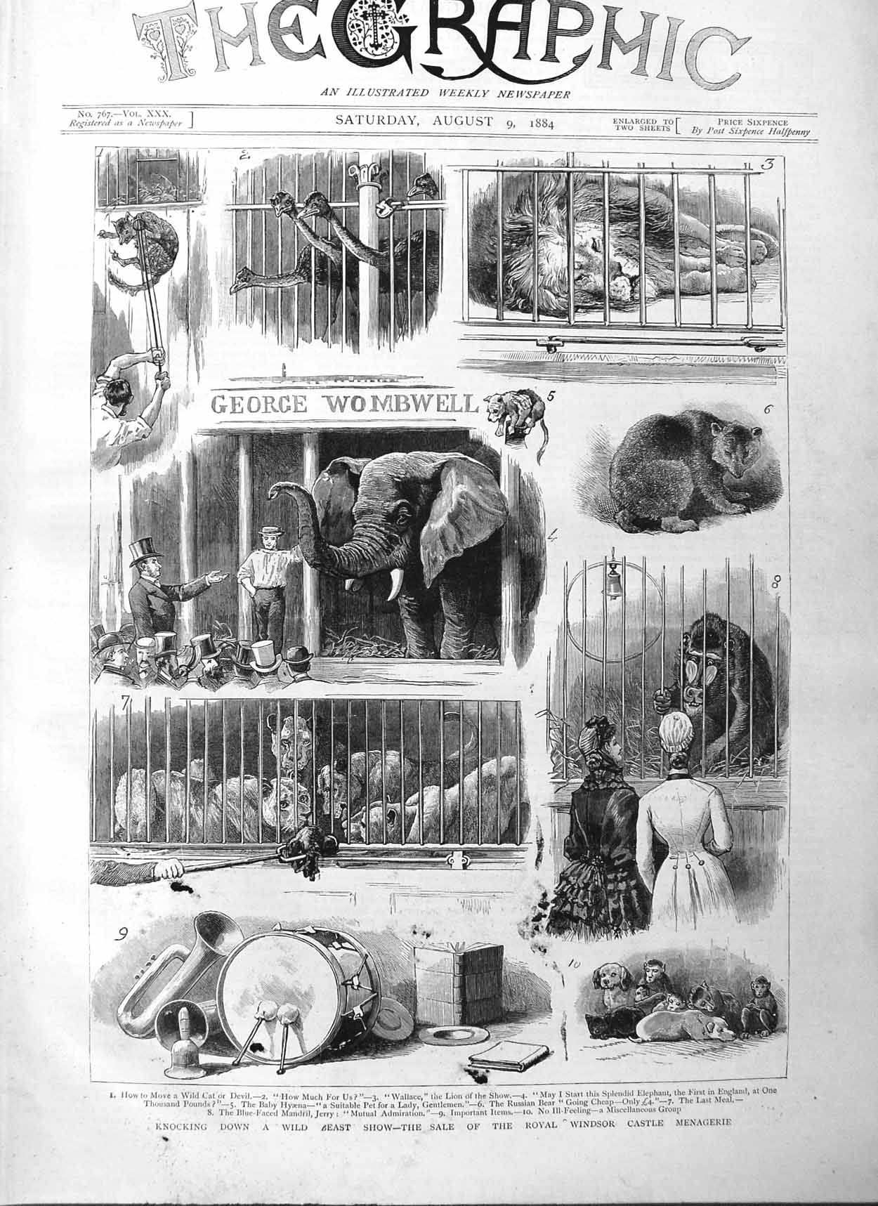 Original Old Antique Print 1884 Animals Sale Royal Windsor Castle Me Victorian