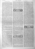Old Antique Print 1884 Illustration Story From Post Finish Romance Tree 19th