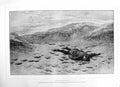 Original Old Antique Print 1884 Nash Fine Art Dead Man Beach BirsVictorian