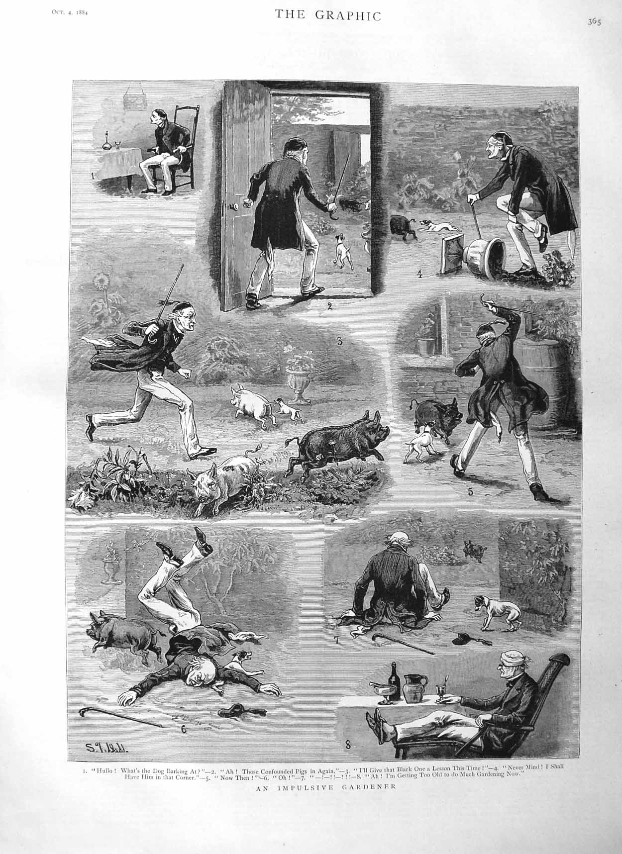 Original Old Antique Print 1884 Fine Art Gardener Pigs Puppy Dogs Man Victorian