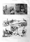 Original Old Antique Print 1884 Island Busi Lissa Adriatic Grotto Siers Sport