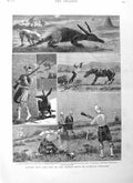 Original Old Antique Print 1884 War South Africa Argyll Sutherland Highlanders