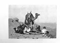 Original Old Antique Print 1885 Rud Huber Fine Art Camel Des 19th