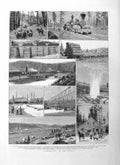 Original Old Antique Print 1885 Trees Lumbering California Logs Trucke Victorian