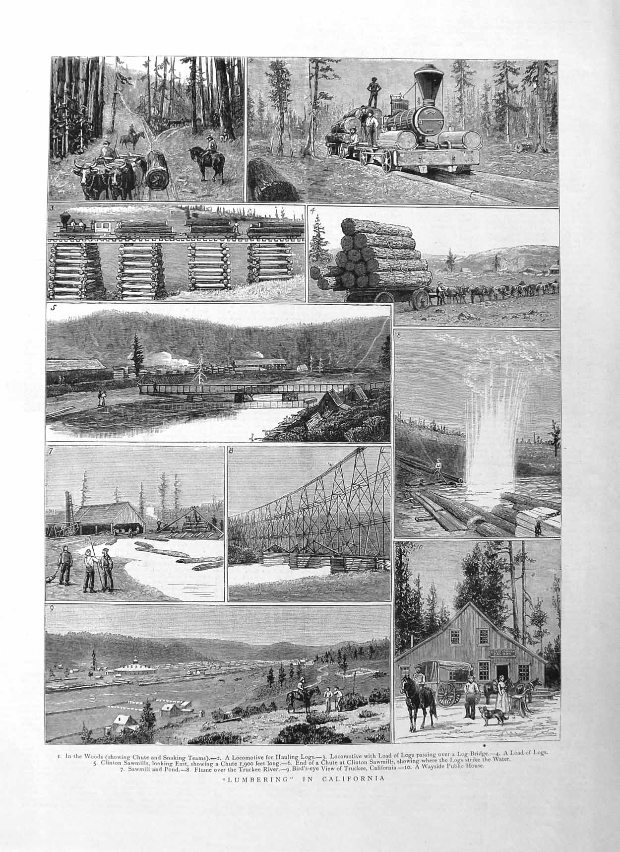 Original Old Antique Print 1885 Trees Lumbering California Logs Trucke Victorian