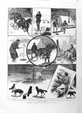 Original Old Antique Print 1885 Winter Fishing Manitoba Canada Horses Snow Dogs
