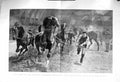 Original Old Antique Print 1885 Show Hackney Stud-Book Agricultural Hall 19th