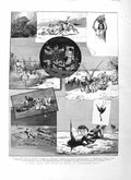 Original Old Antique Print 1885 Egypt Brulos Lake Shooting Damietta Camels War