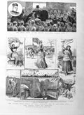 Original Old Antique Print 1885 Royal Ireland Listowel Convamore Artane Hoope