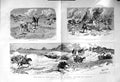 Original Old Antique Print 1885 War Soudan General Graham Suakim Tama Victorian