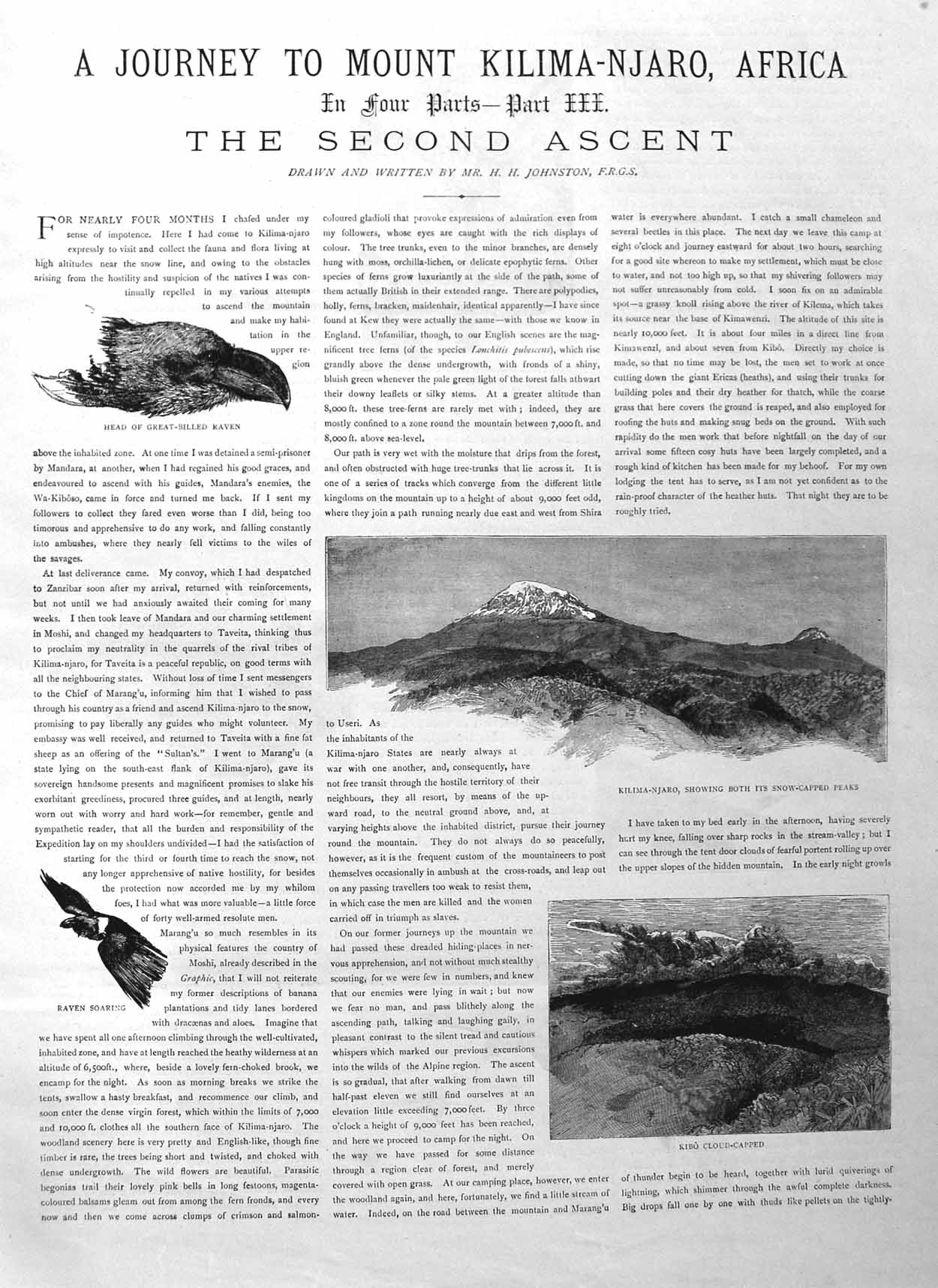 Original Old Antique Print 1885 Part Three Journey Mount Kilimanjaro Afri 19th