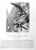 Old Antique Print 1885 Illustration Story Leap Life Bird Prey Attacking 19th