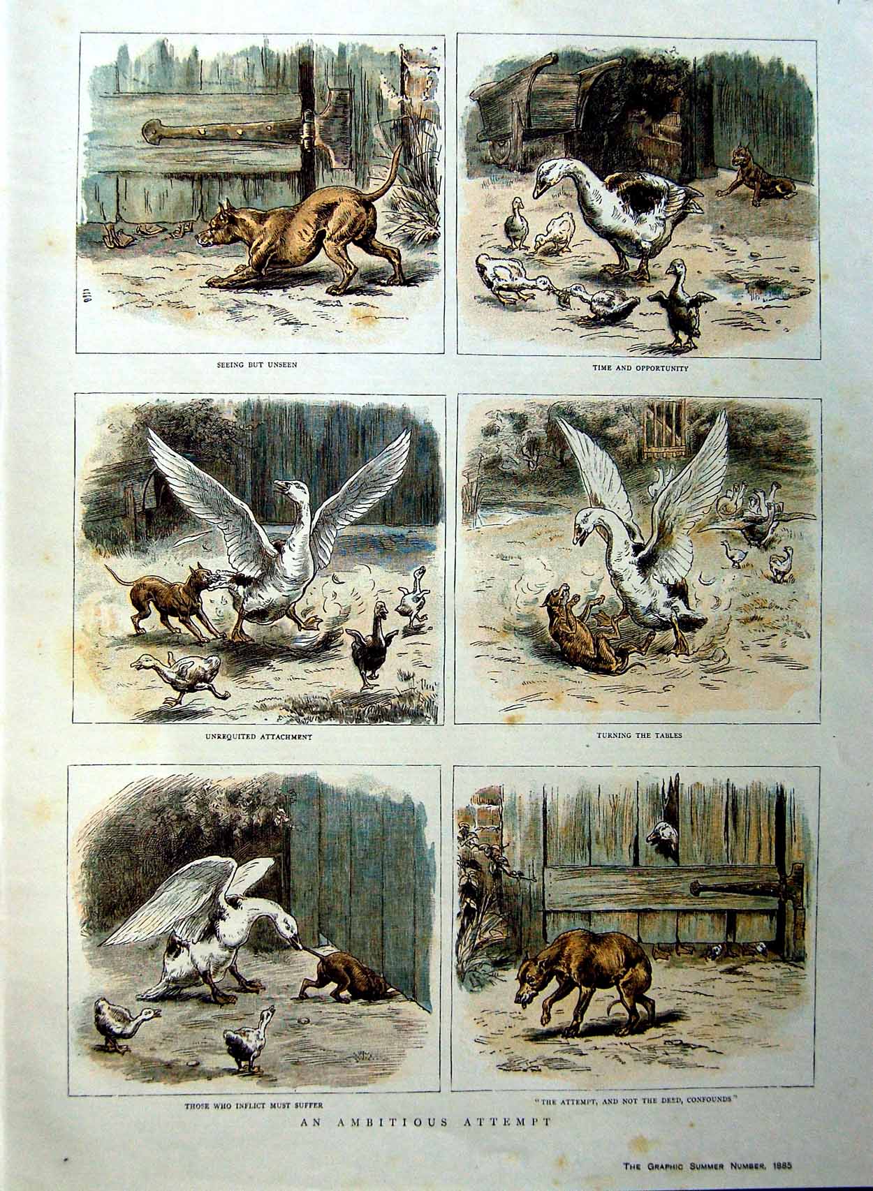 Original Old Antique Print 1885 Colour Farm Animals Geese Dog Nature Victorian