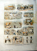 Original Old Antique Print 1885 Colour Farm Animals Water Well Sport Men 19th