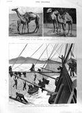 Old Antique Print 1885 Camels Soudan Zoological Sultan Ship Torpedo Nets 19th