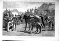 Original Old Antique Print 1885 Paddock Horses Sale Brood Mares Foals Fine Art