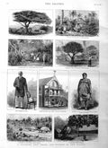 Original Old Antique Print 1885 Islands Pacific Fiji Samoan Tonga Pango Wa 19th
