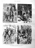 Original Old Antique Print 1885 Prince Wales Sweden Elk Osborne Ship Hunneberg