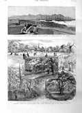 Original Old Antique Print 1885 Harbour Port Louis Muritius ClissPark Victorian