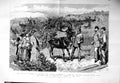 Old Antique Print 1885 Prince Wales Sweden Reindeer Mountains Storlien 19th