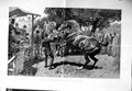 Original Old Antique Print 1885 Sale Hunters Horses Auction Men F 19th