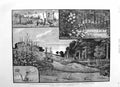 Original Old Antique Print 1885 Wild Garden Weybridge Lilies Edelweiss Flowers