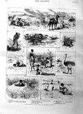 Original Old Antique Print 1885 Springbok Hunting South Africa Natives Ostrich