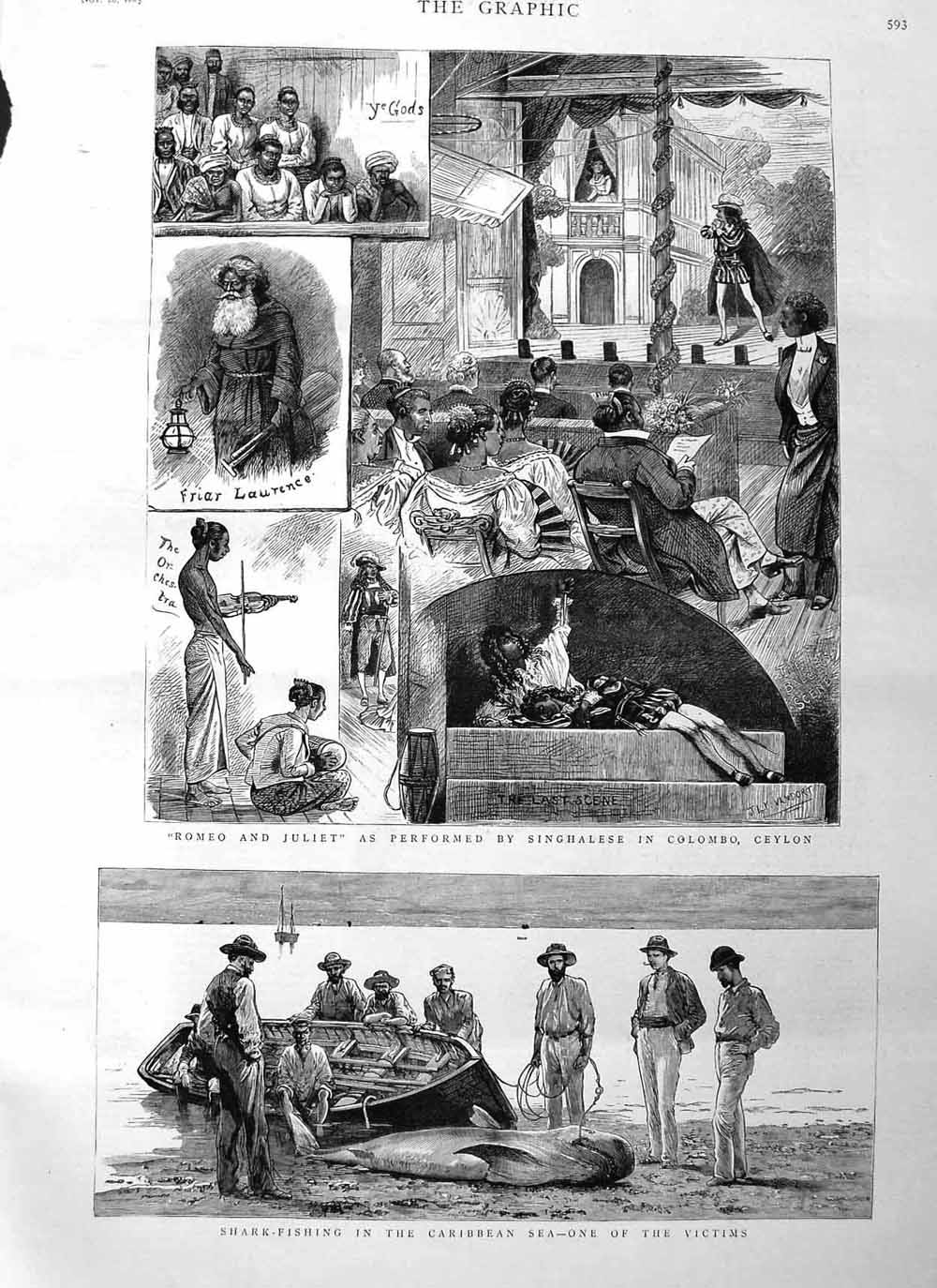 Old Antique Print 1885 Shark Fishing Caribbean Romeo Juliet Shinghalese 19th