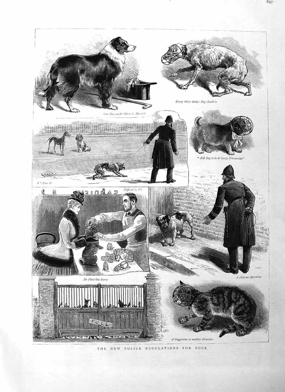 Original Old Antique Print 1885 Police Regulations Dogs Home Cat Muzzle Po 19th