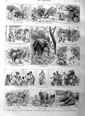 Original Old Antique Print 1885 Ceylon Rogue Elephant Hunting Jungle Natives