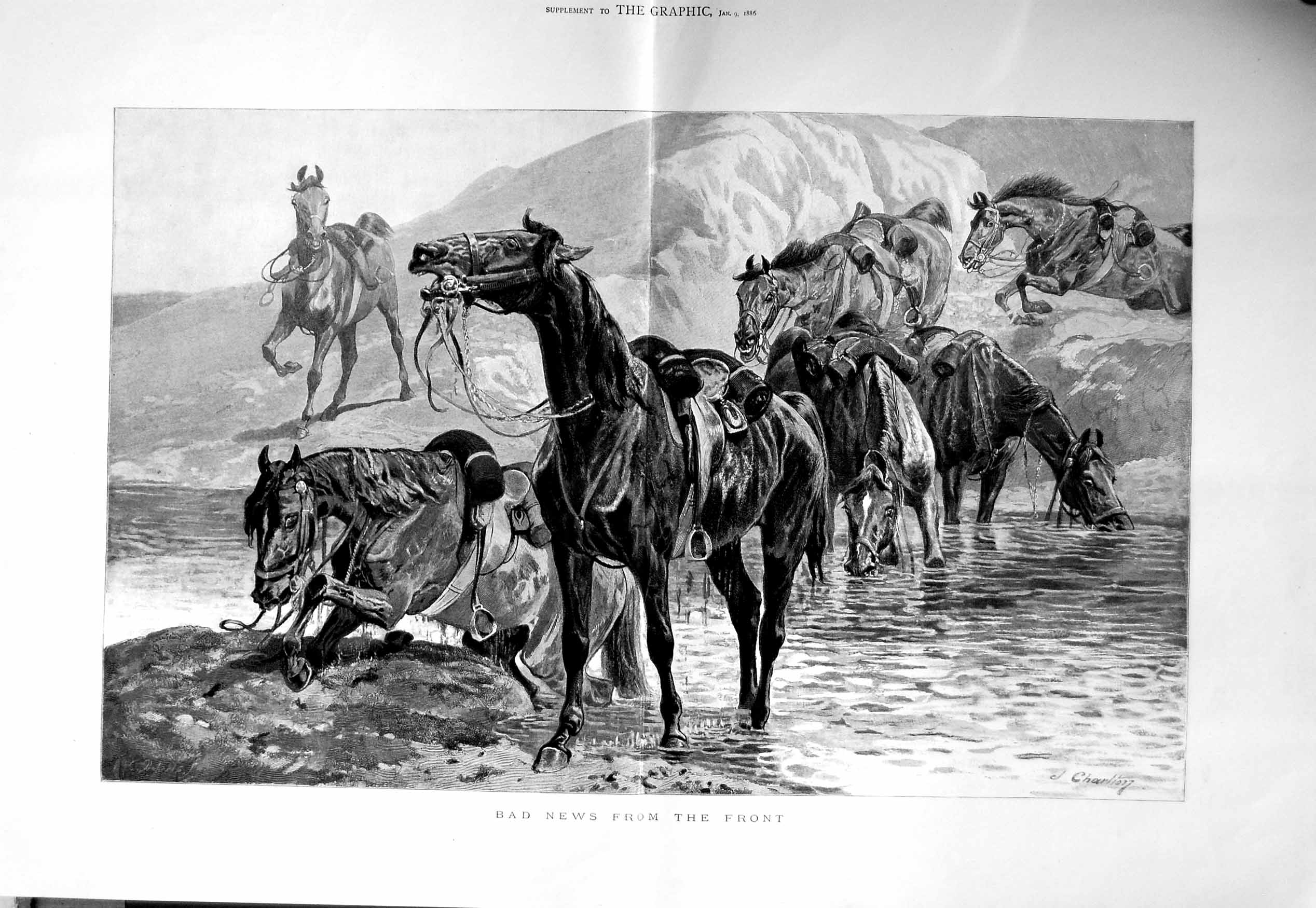 Original Old Antique Print 1886 Fine Art Riderless Horses River Drinking War 0
