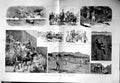 Original Old Antique Print 1886 St. Helena Siers Horses Cricket Salisbur 19th