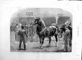 Original Old Antique Print 1886 Show Shire Horse Society Agricultural Is 19th