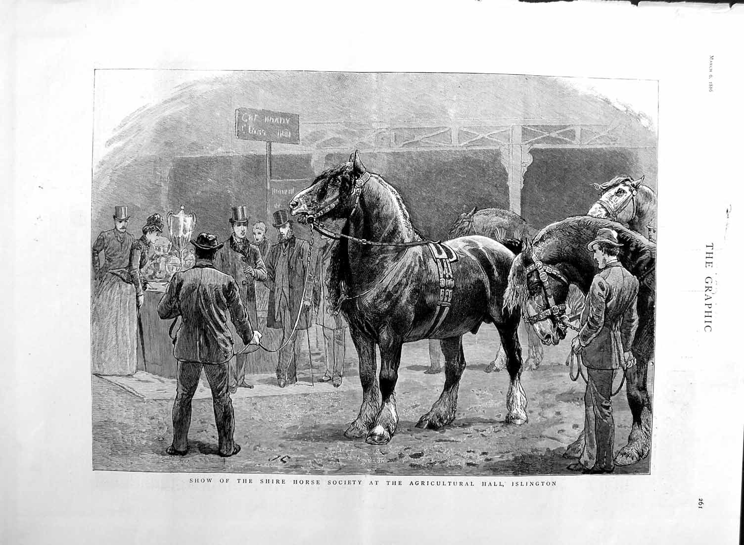 Original Old Antique Print 1886 Show Shire Horse Society Agricultural Is 19th