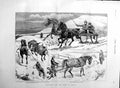 Original Old Antique Print 1886 Sledging Isle Bute Horses Snow Grey Colt 19th