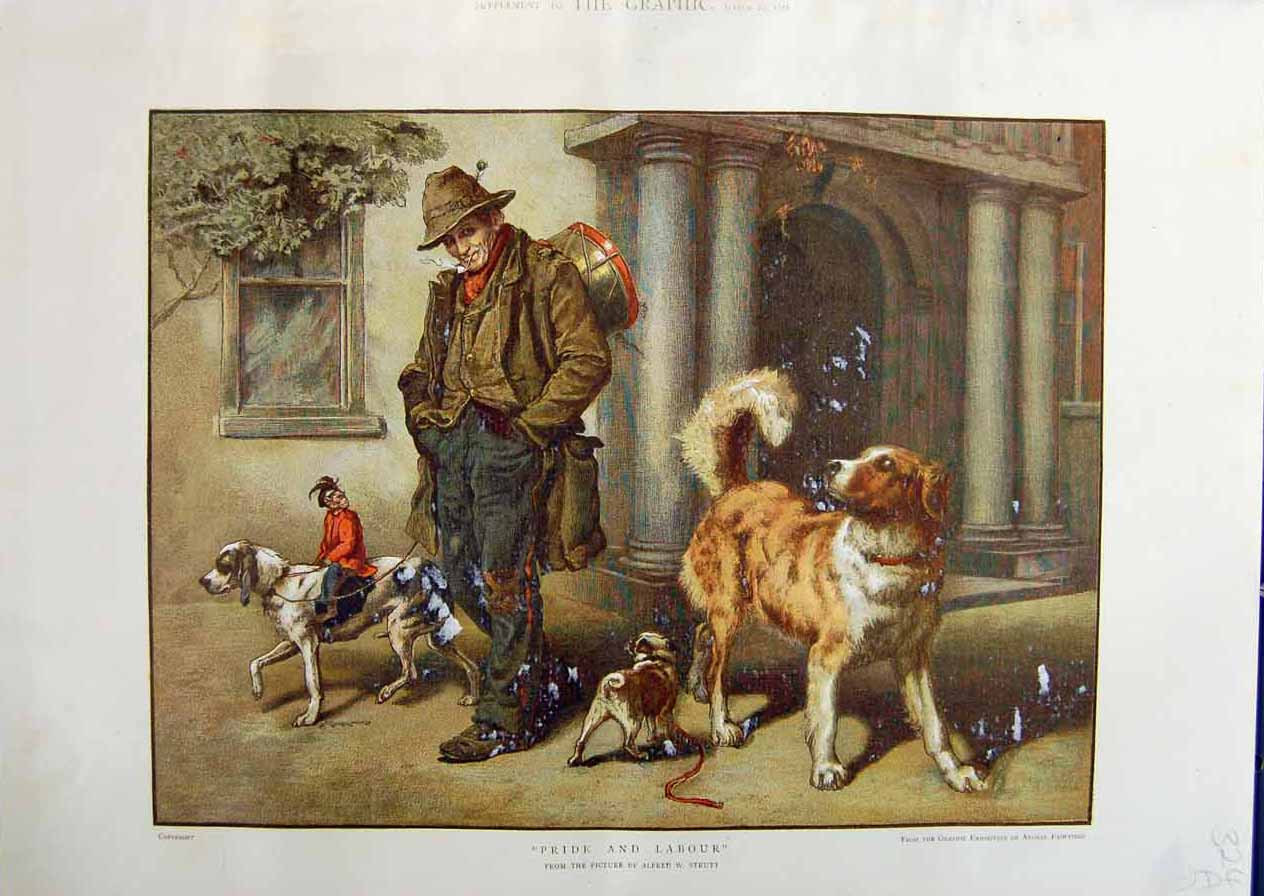 Original Old Antique Print 1886 Colour Music Man Puppy Dogs StruttVictorian