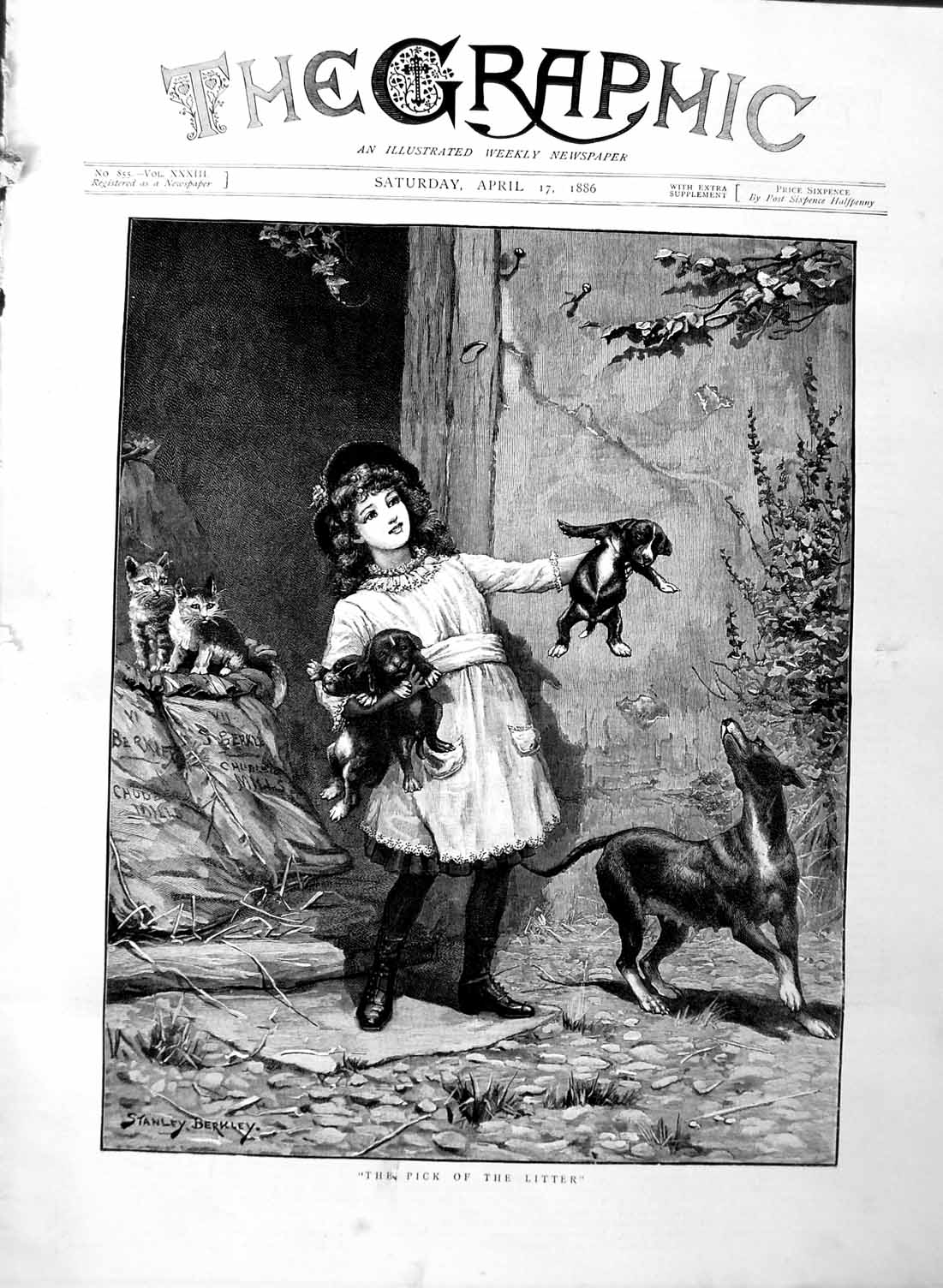 Original Old Antique Print 1886 Berkley Fine Art Little Girl Puppy Dogs Cats