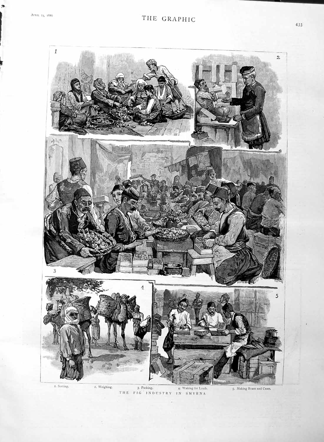 Original Old Antique Print 1886 Fig Industry Smyrna Making Boxes Cases Packing